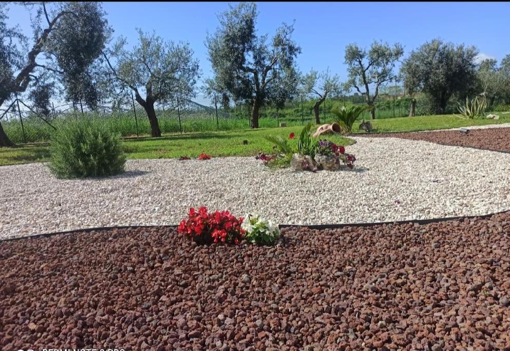Marilu Dream House A 800 Mt Dal Mare Di Holiday home