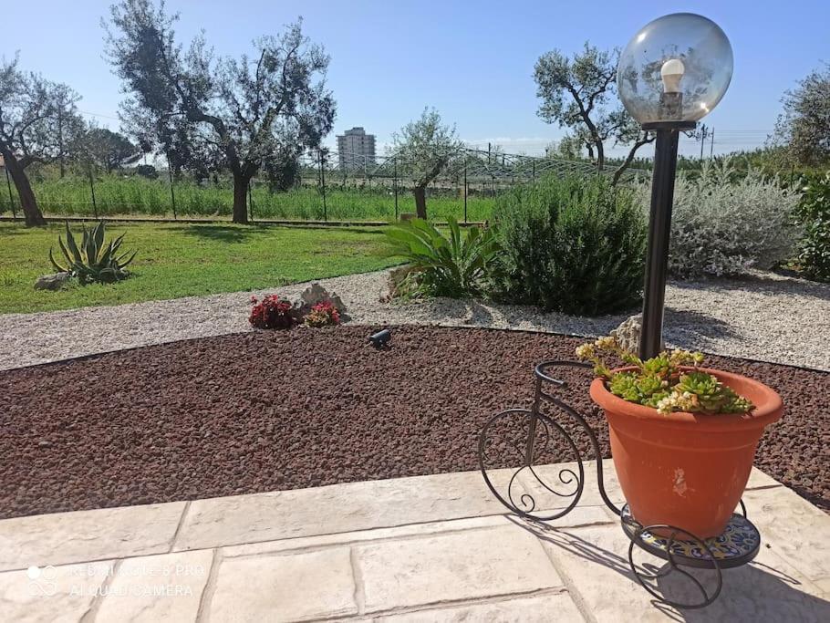 Marilu Dream House A 800 Mt Dal Mare Di *